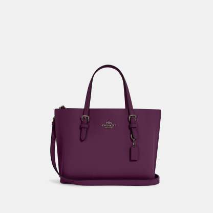 Coathtch Outlet Mollie Tote 25