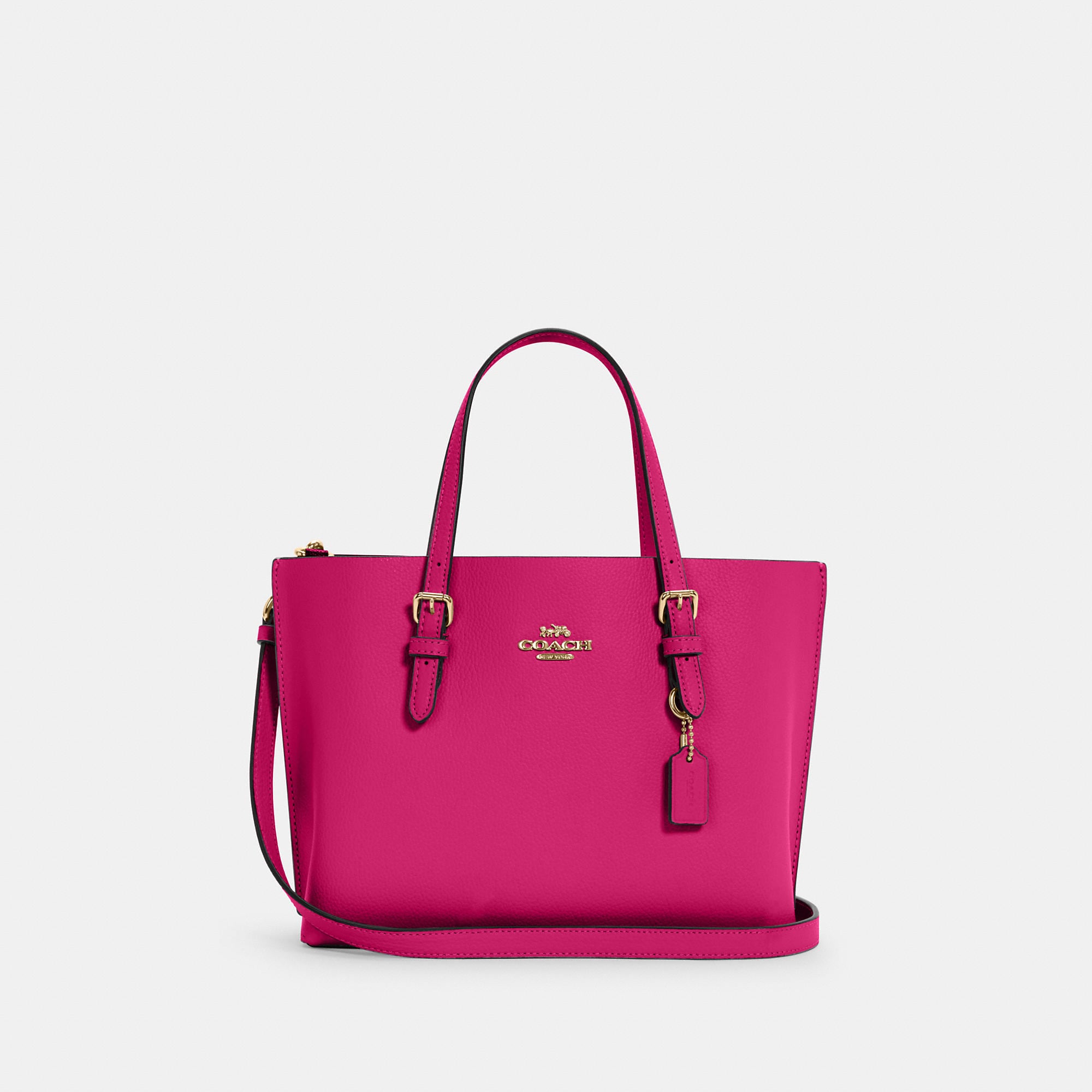 Coathtch Outlet Mollie Tote 25
