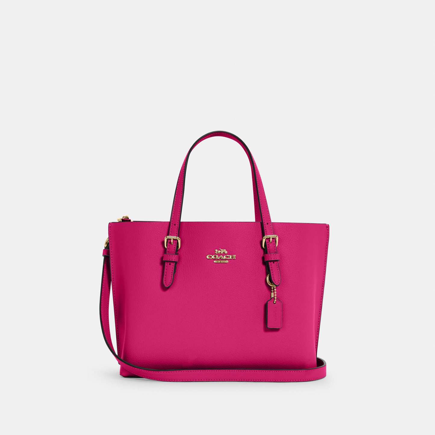 Coathtch Outlet Mollie Tote 25
