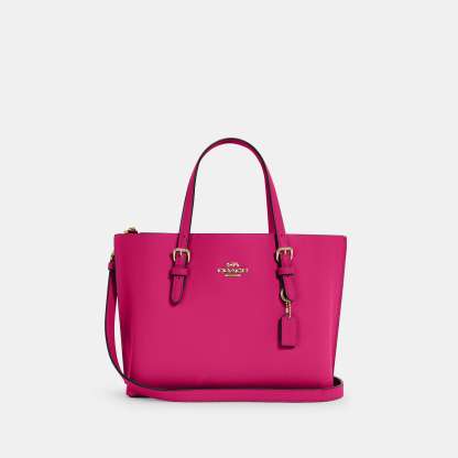 Coathtch Outlet Mollie Tote 25