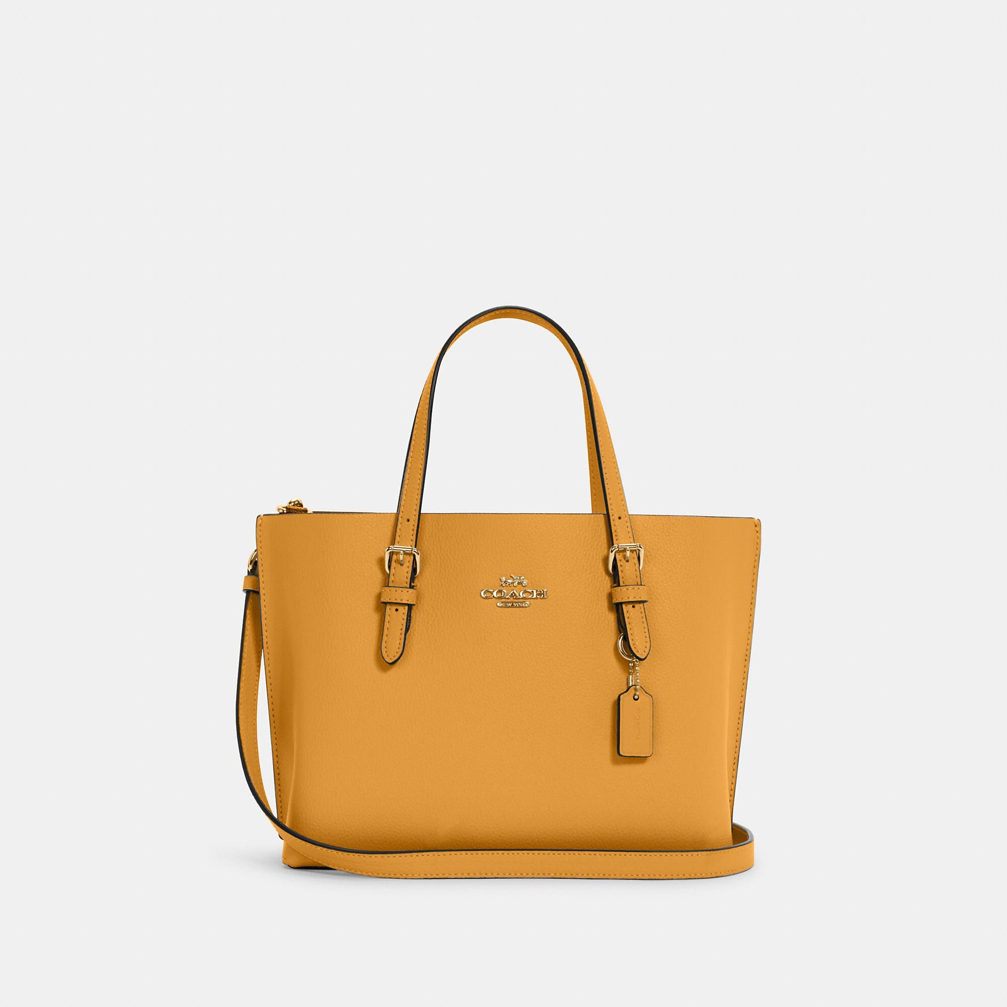 Coathtch Outlet Mollie Tote 25