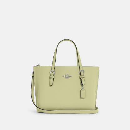 Coathtch Outlet Mollie Tote 25