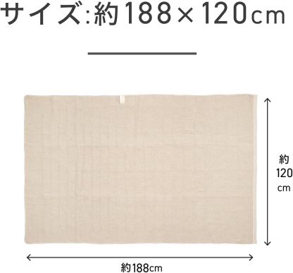 Koizumi KDS-40242 Electric Blanket, Bed Blanket, Washable, Heated Heating Wiring, Dust Mites, 51.2 x 31.5 inches (130 x 80 cm)