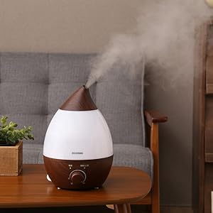 Humidifier