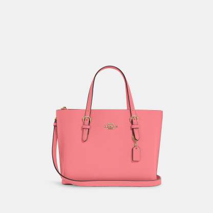 Coathtch Outlet Mollie Tote 25