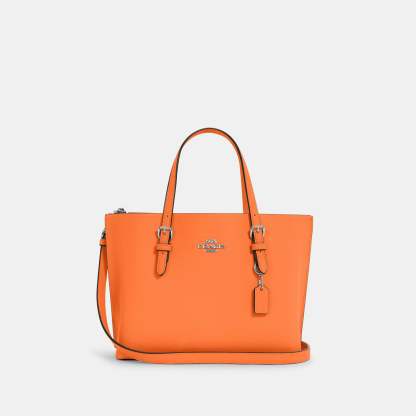 Coathtch Outlet Mollie Tote 25