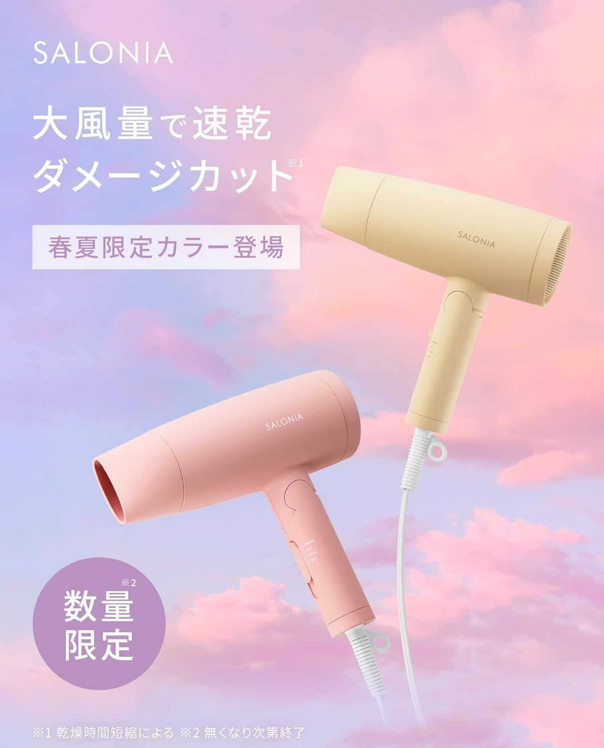 SALONIA スピーディイオンドライヤー 大風量 速乾 軽量 マイナスイオン ヘアドライヤー 2025年限定 SAL24013PM