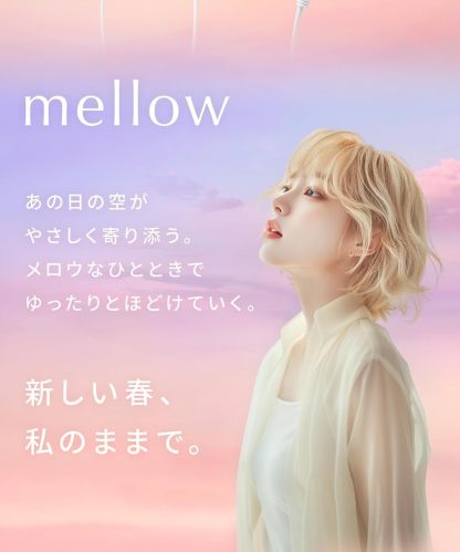 SALONIA スピーディイオンドライヤー 大風量 速乾 軽量 マイナスイオン ヘアドライヤー 2025年限定 SAL24013PM
