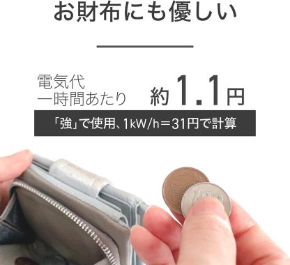 Koizumi KDS-40242 Electric Blanket, Bed Blanket, Washable, Heated Heating Wiring, Dust Mites, 51.2 x 31.5 inches (130 x 80 cm)