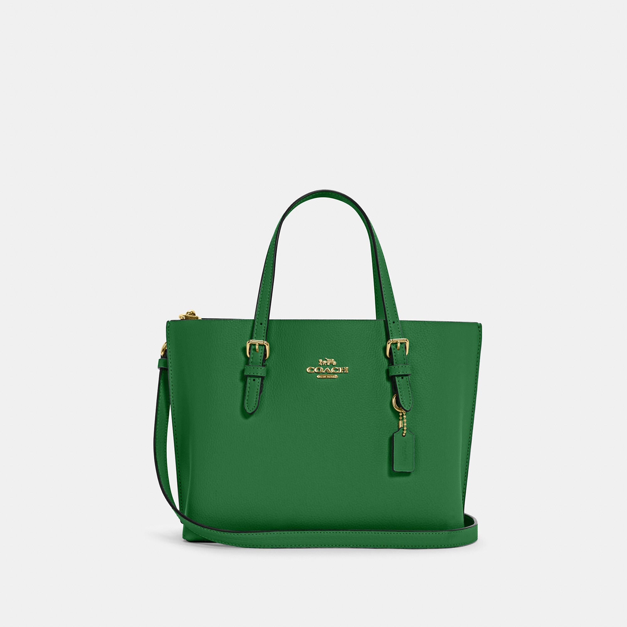 Coathtch Outlet Mollie Tote 25