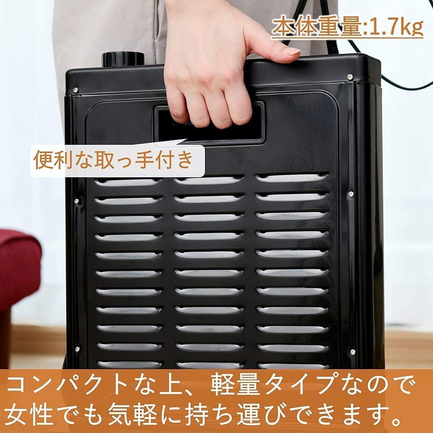 YAMAZEN Electric Heater (800W/400W 2-Level Conversion) White DS-D086(W)