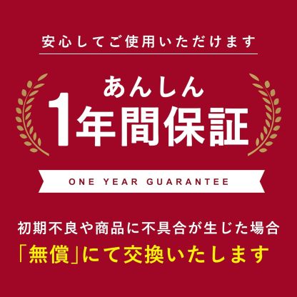 貝印(Kai Corporation) KAI 電動 ハンド ミキサー 泡立て器 DL0501 ホワイト