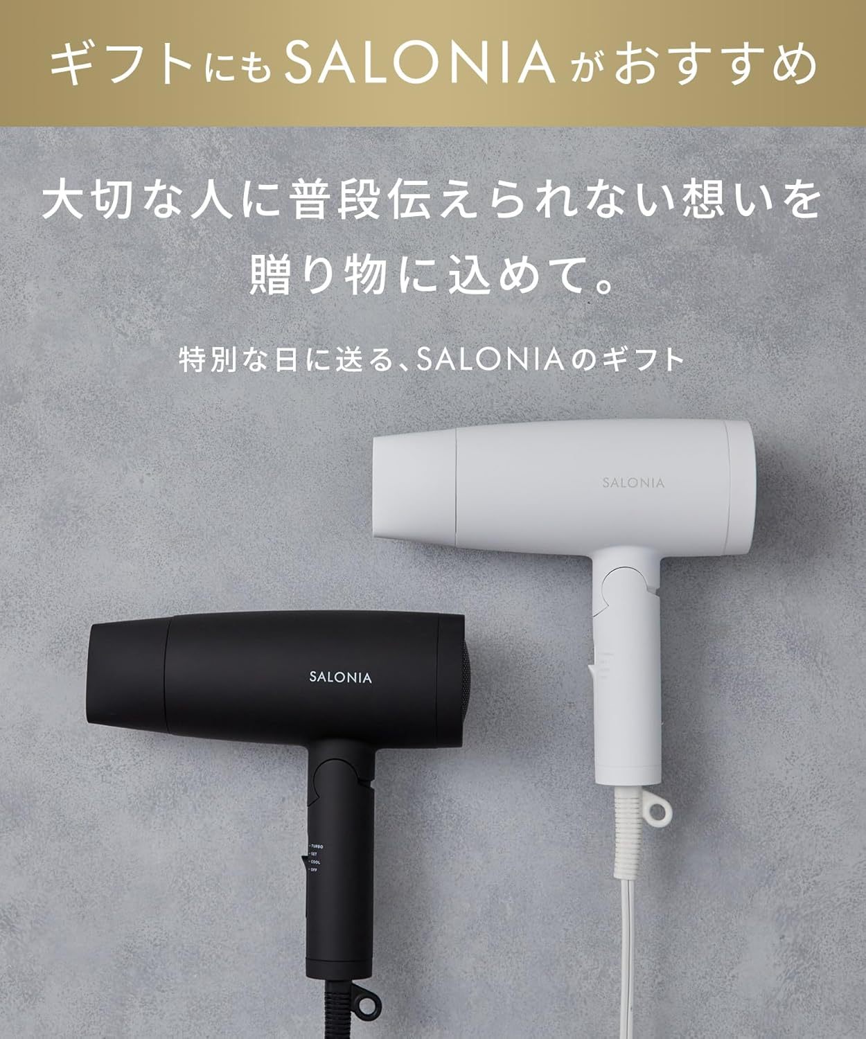 SALONIA スピーディイオンドライヤー 大風量 速乾 軽量 マイナスイオン ヘアドライヤー 2025年限定 SAL24013PM