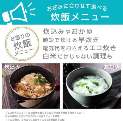 Tiger Rice Cooker, Micron Eco Cooking with Cooking Menu