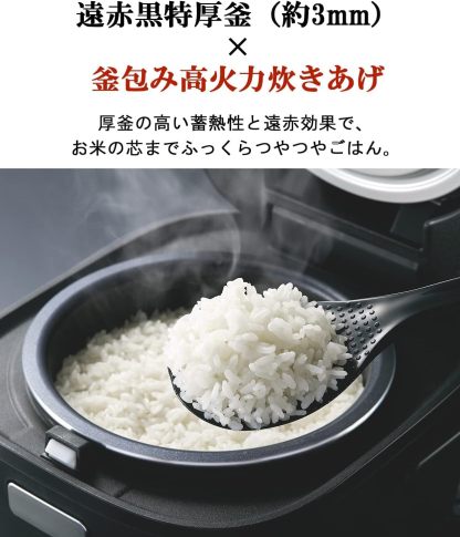 Tiger Rice Cooker, Micron Eco Cooking with Cooking Menu