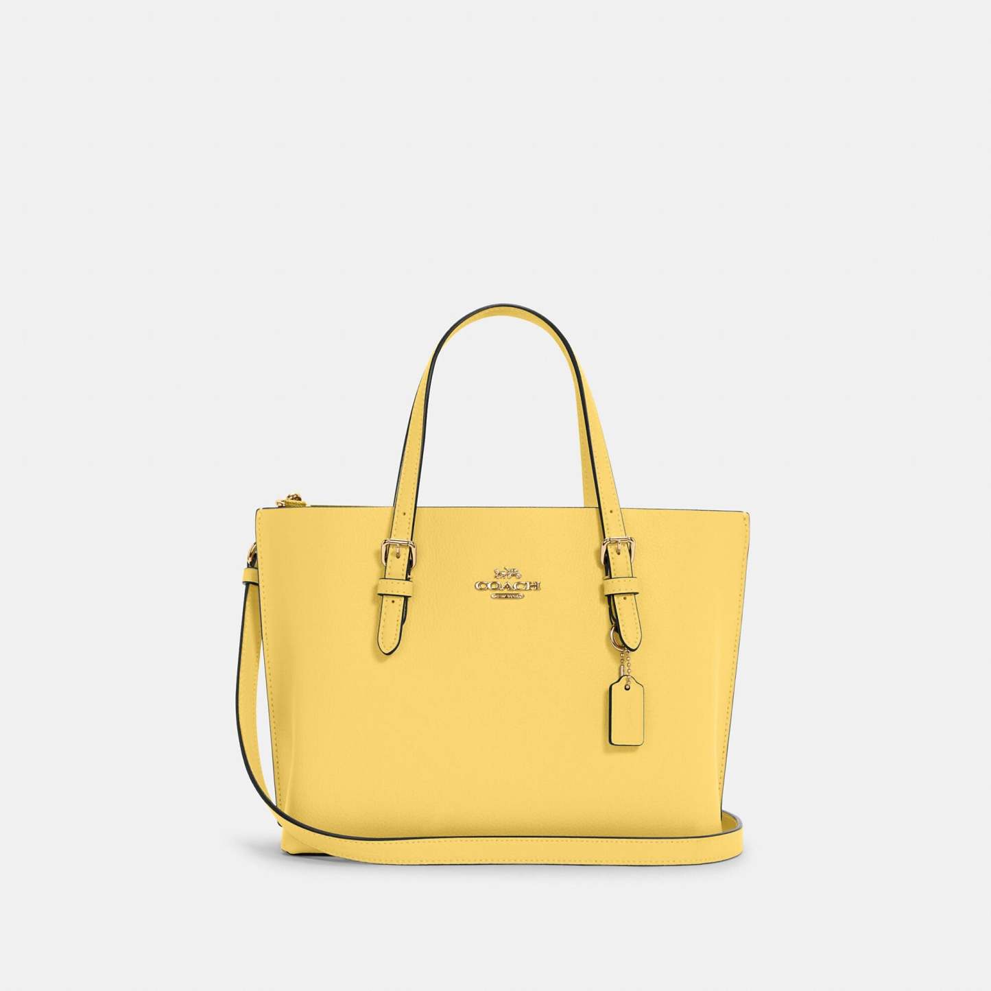 Coathtch Outlet Mollie Tote 25
