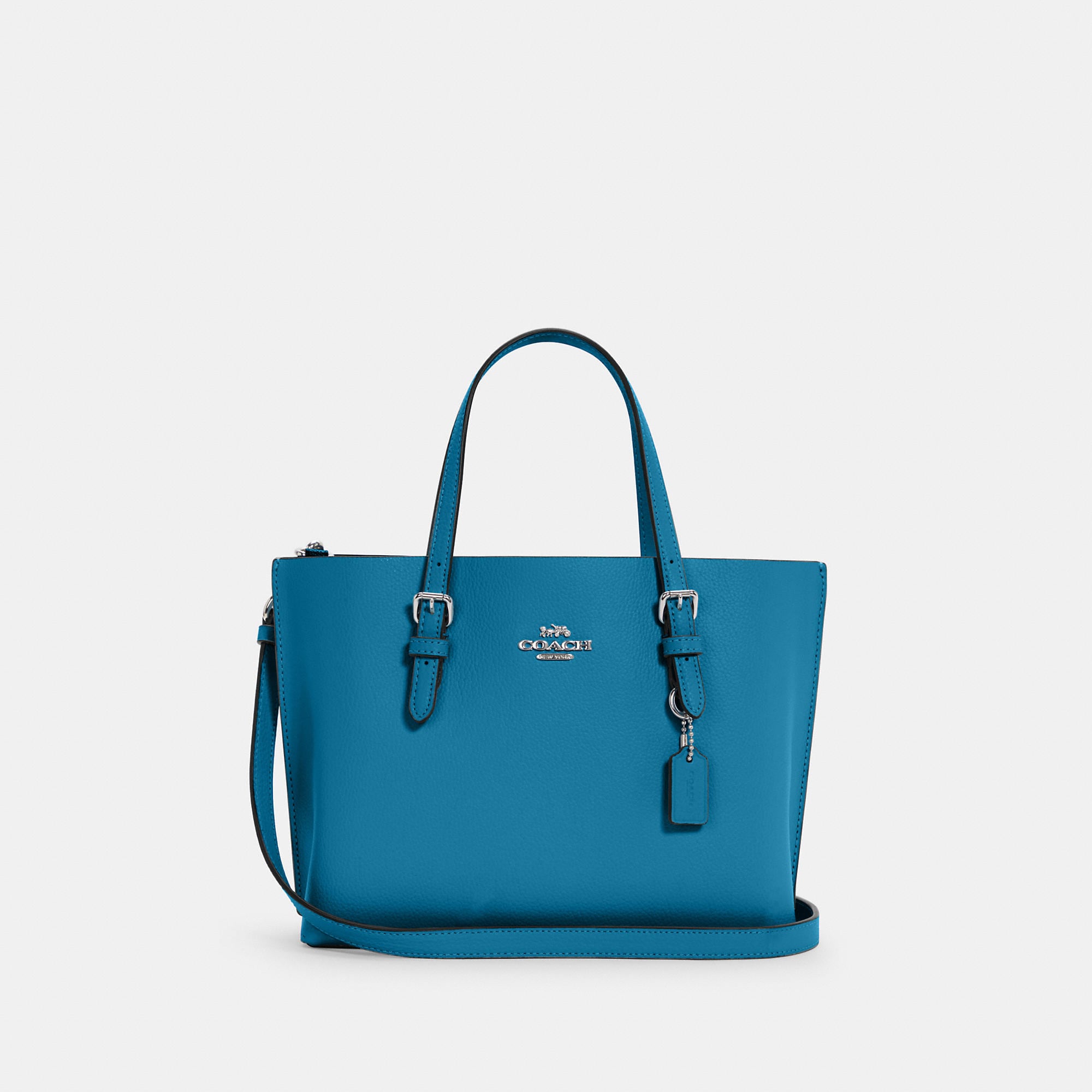 Coathtch Outlet Mollie Tote 25