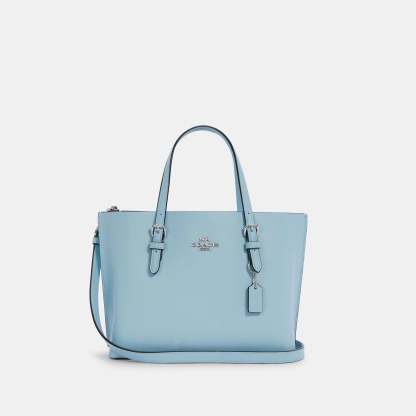 Coathtch Outlet Mollie Tote 25