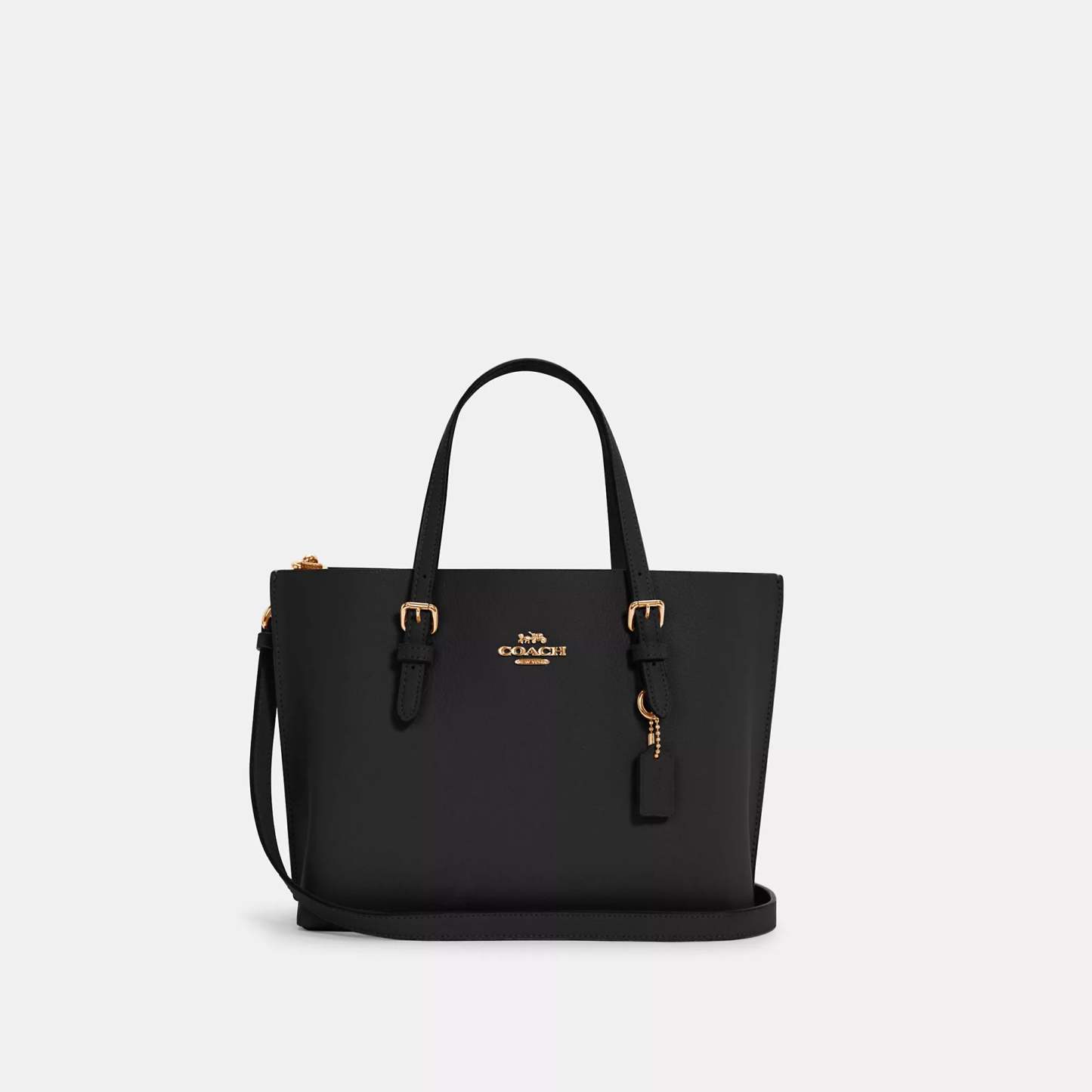 Coathtch Outlet Mollie Tote 25