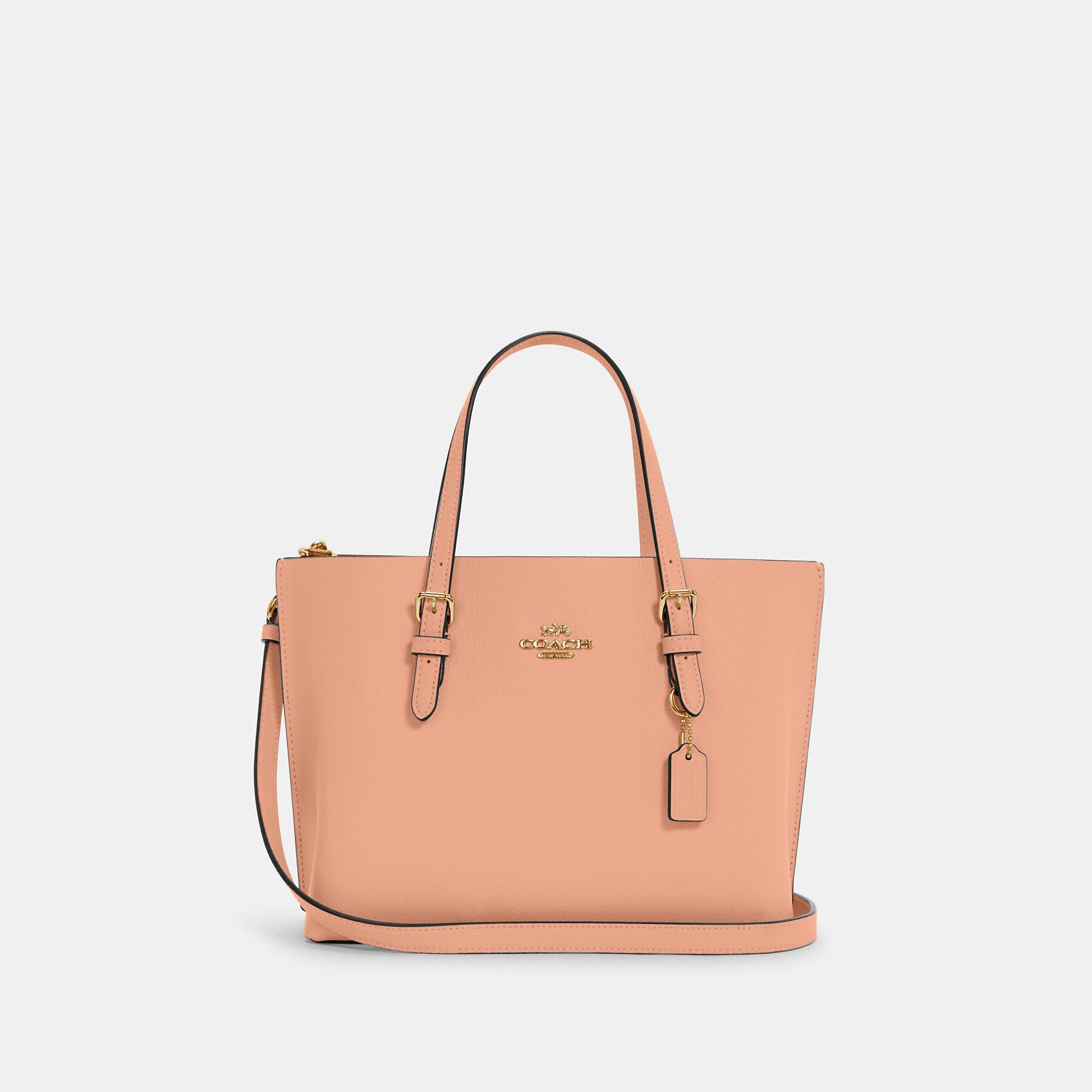 Coathtch Outlet Mollie Tote 25