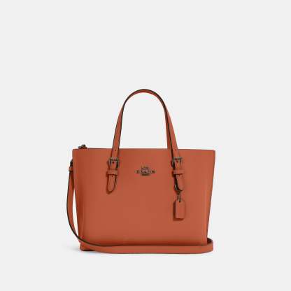 Coathtch Outlet Mollie Tote 25