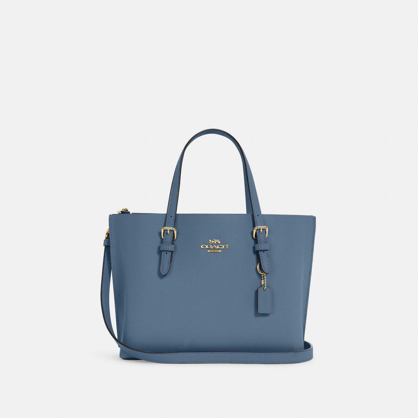Coathtch Outlet Mollie Tote 25