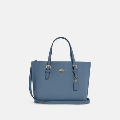 Coathtch Outlet Mollie Tote 25