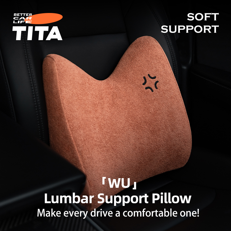 Lumbar Support Pillow