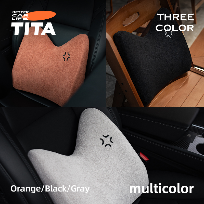 Lumbar Support Pillow