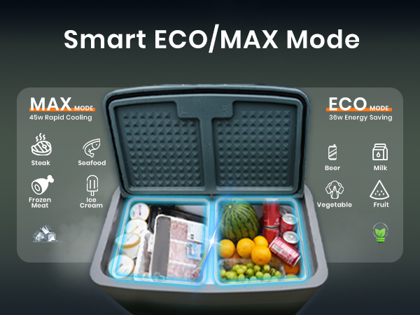 {"default":"mini car fridge freezer"}
