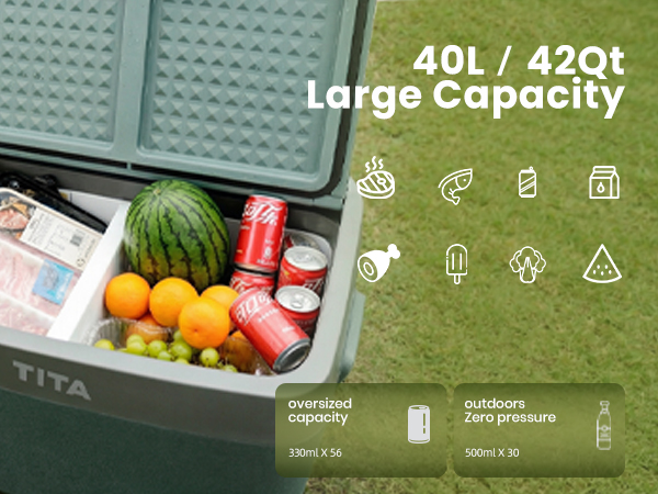 {"default":"refrigerator for tesla model y"}
