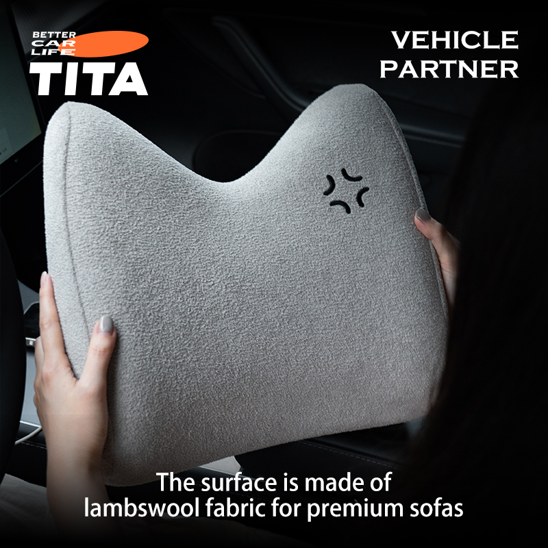 Lumbar Support Pillow