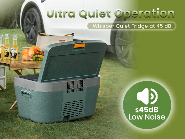 {"default":"model y fridge portable freezer for car travel refrigerator"}
