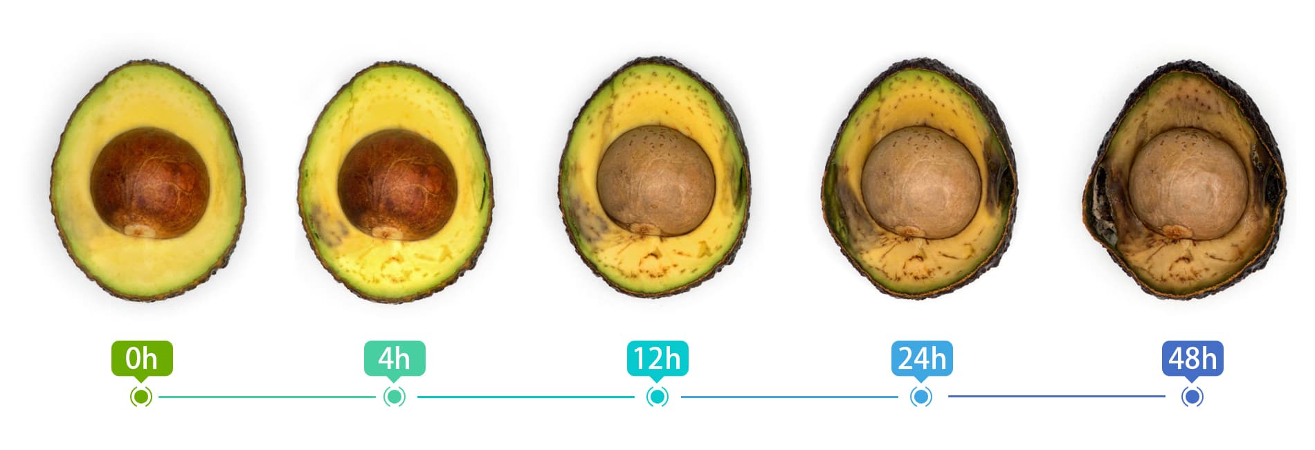 cut avocado browning timeline hours to days