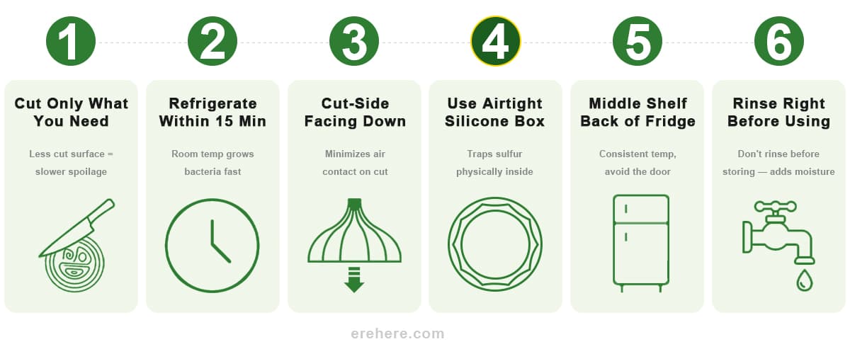 how to store cut onion step by step airtight container