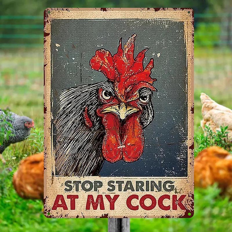 Chicken Stop Staring At My Cocker Vintage Home Decor, Room Decor Metal Sign-Jolura