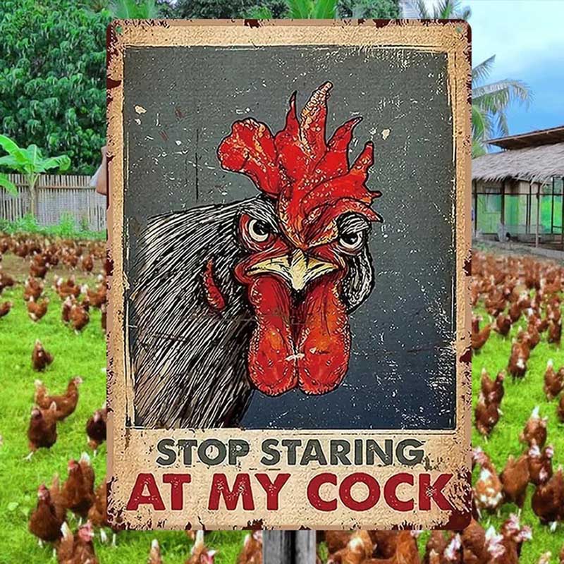 Chicken Stop Staring At My Cocker Vintage Home Decor, Room Decor Metal Sign-Jolura
