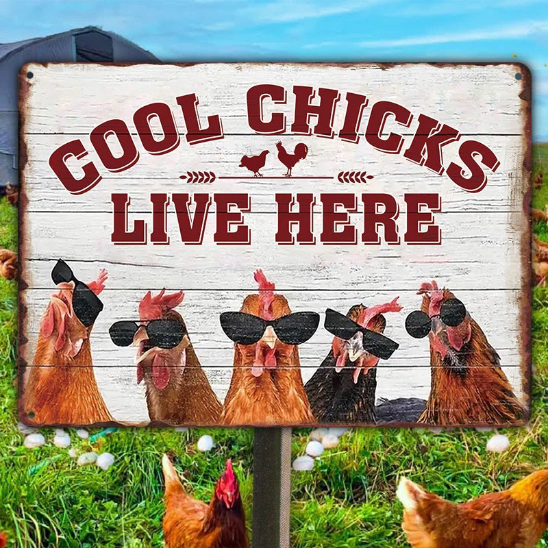 Chicken Coop Sign | Cool Chicks Live Here Chicken Coop Sign Metal Cool Chicks Live Here Information Signs-Jolura