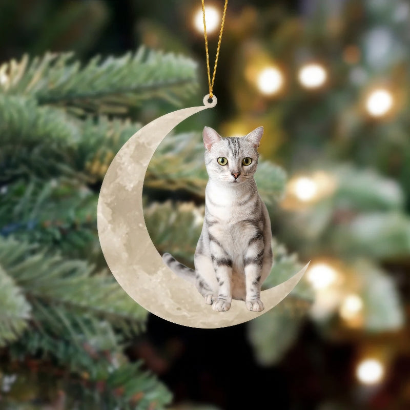 American Shorthair Cat Sits On The Moon Hanging Ornament CS018