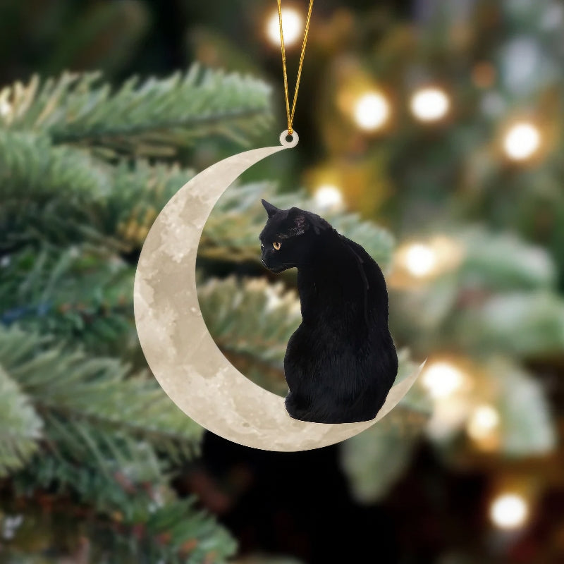 Black Cat Sits On The Moon Hanging Ornament CS001