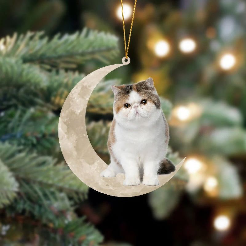 Exotic Shorthair Cat Sits On The Moon Hanging Ornament CS019