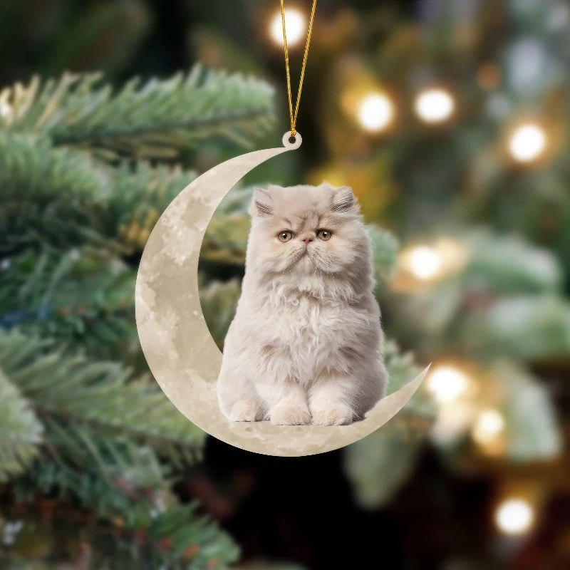 Persian Cat Sits On The Moon Hanging Ornament CS020