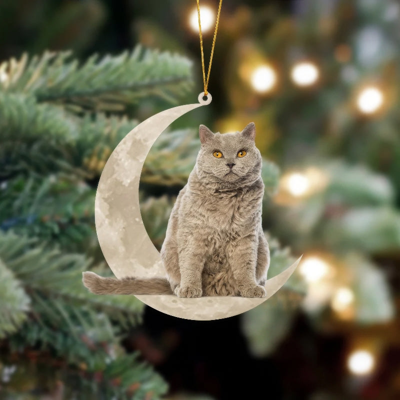 Selkirk Rex Cat Sits On The Moon Hanging Ornament CS014