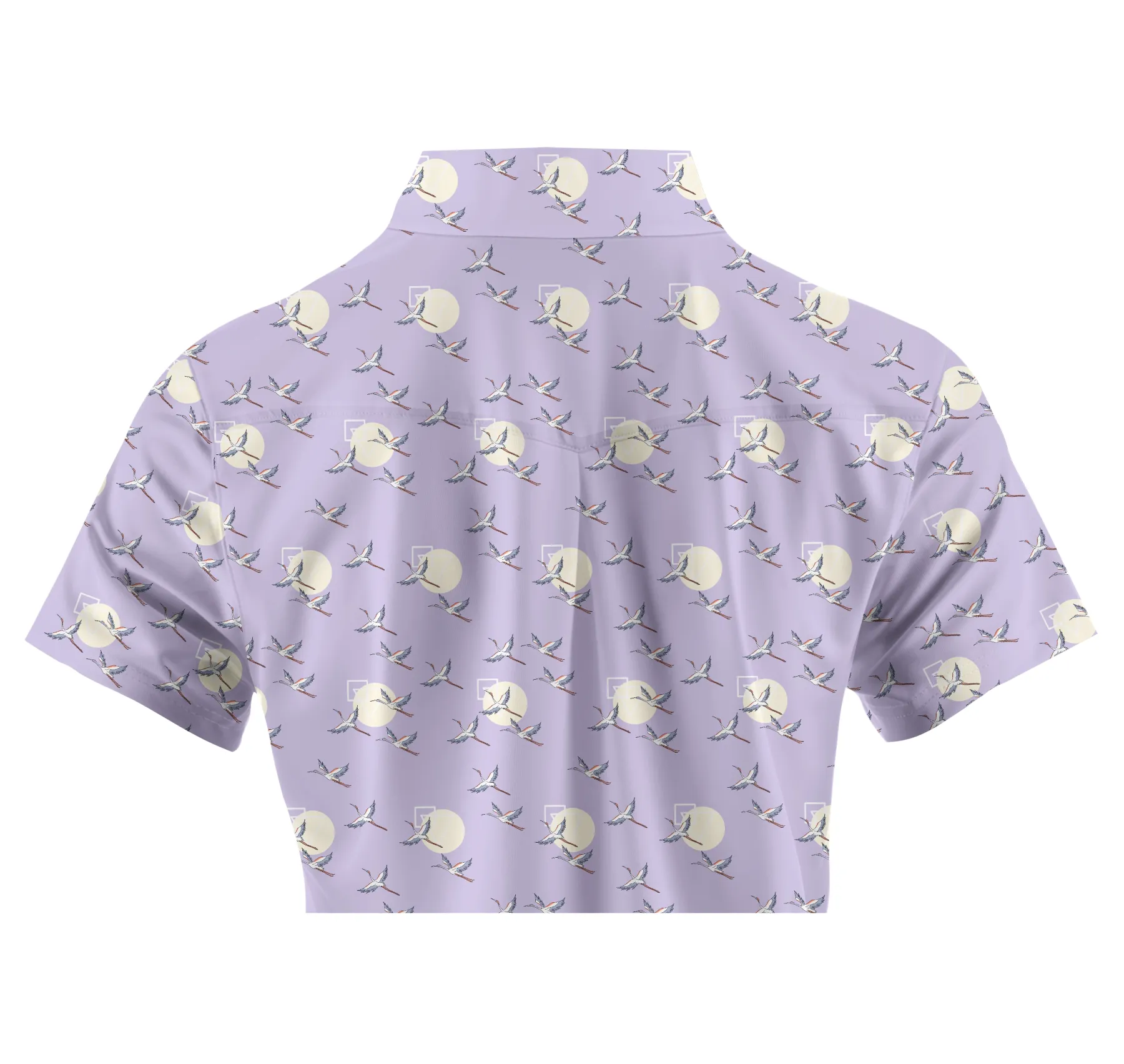 Cherryswing Women's Classic Golf Sleeve Polo Shirt