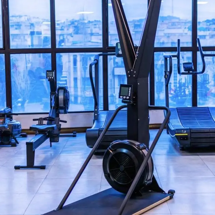 Commercial Home and Gym Indoor Aerobic Ski Simulator Mechanical Wind Resistance Ski Machine for Exercise