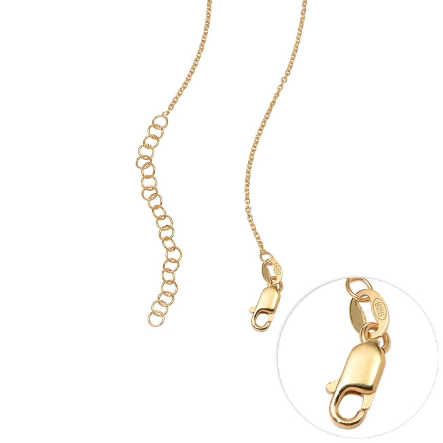 Blooming Birth Flower Name Necklace with Birthstone in Gold Plating