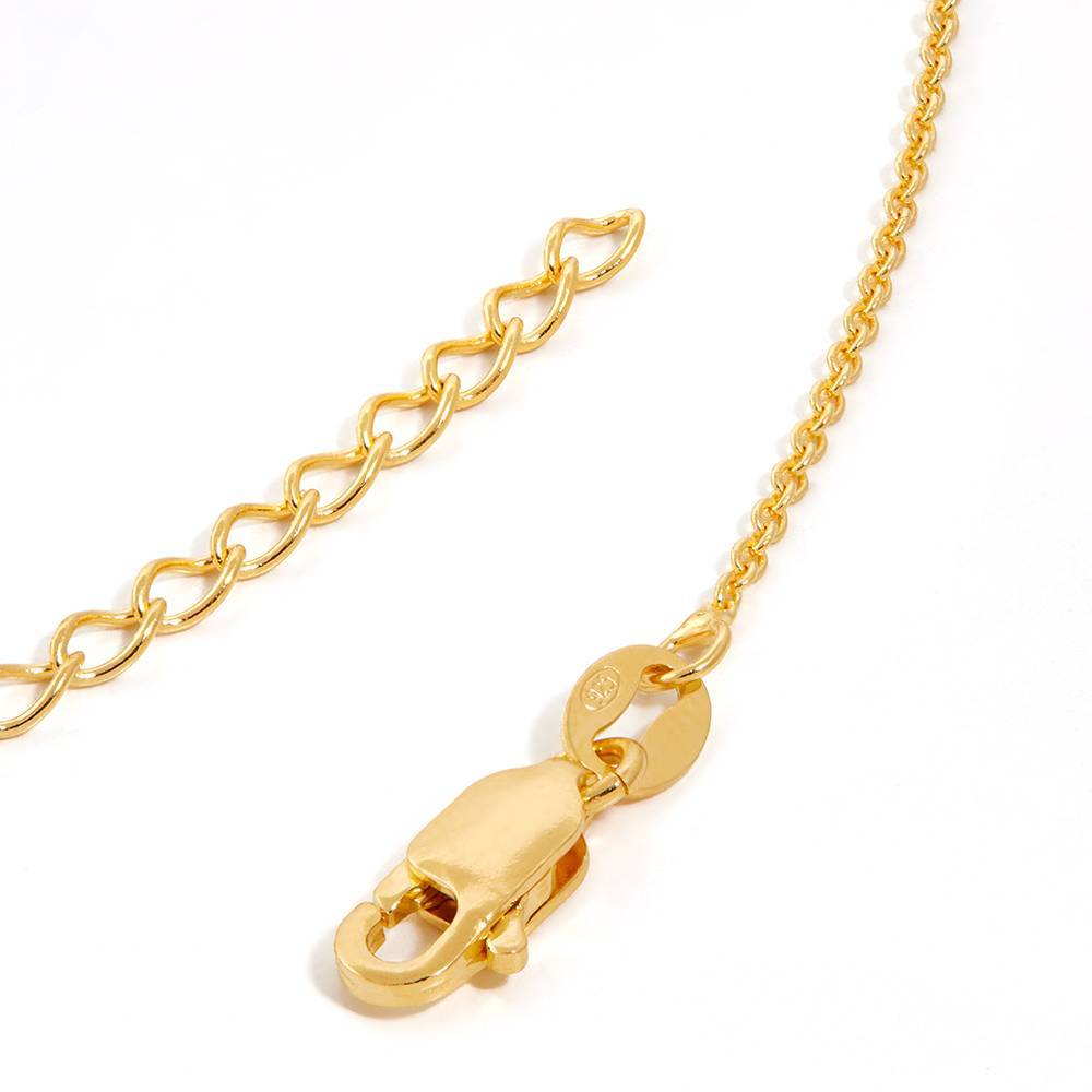 Prairie Birth Flower and Birthstones Initial Necklace in Gold Plating