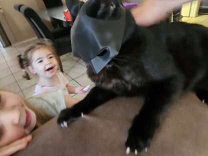 🦇3D Printed Bat Cat Mask