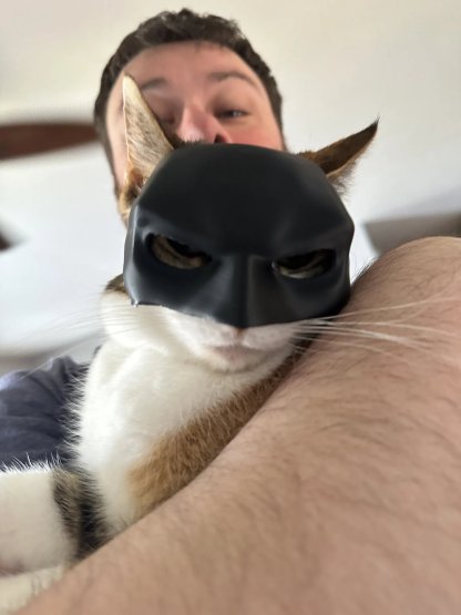 🦇3D Printed Bat Cat Mask