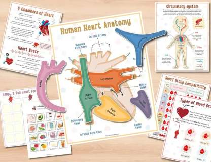 🔥Last Day 49% OFF- Human Anatomy Busy BookBUY 2 FREE SHIPPING